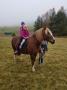 gal/2020/27_Kone Plachtin/_thb_20201115_145012.jpg
